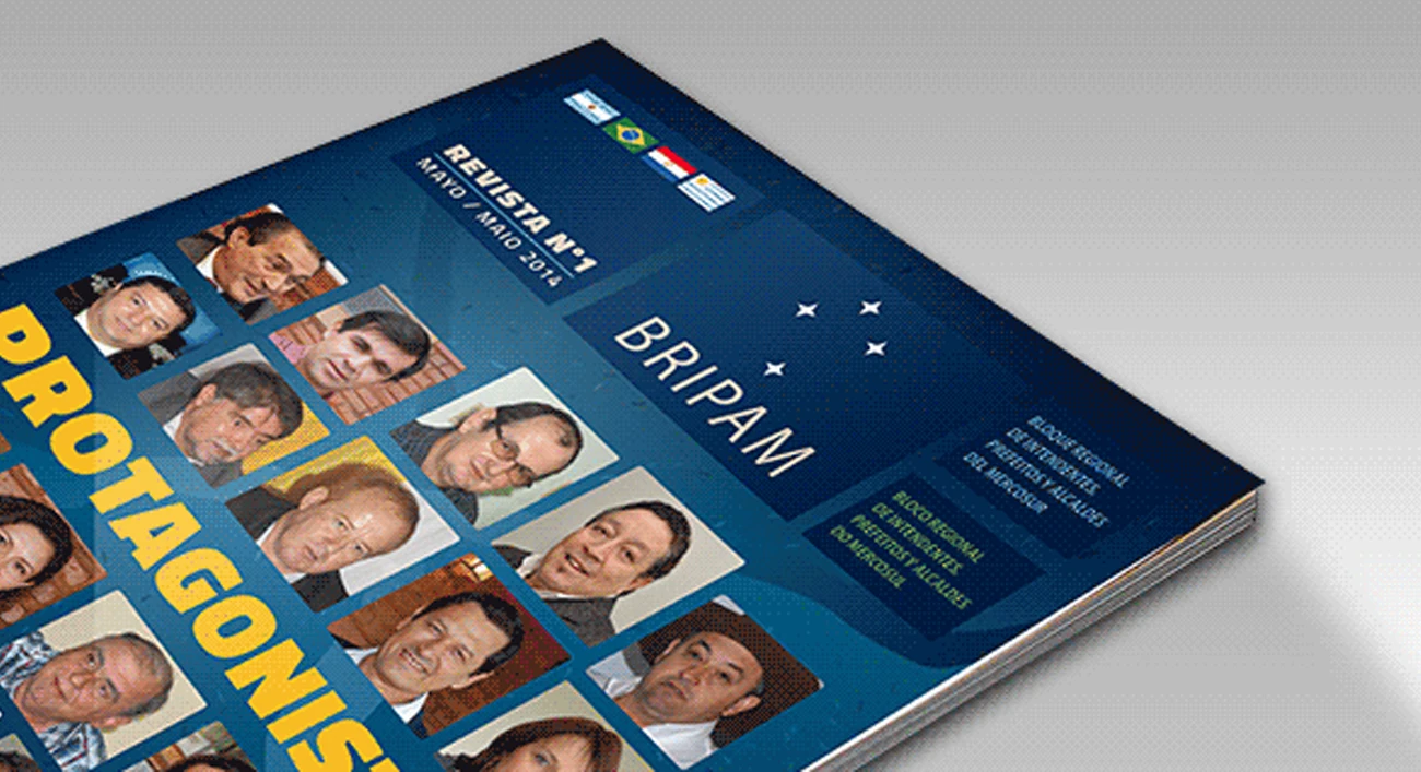 Identidad visual organismo internacional – imagen 2 de 3